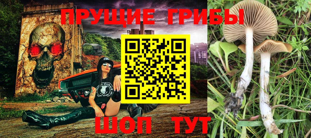 Галлюциногенные грибы ЛСД Камышин