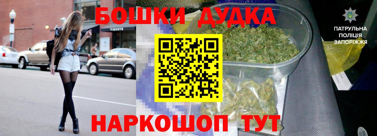 Камышин  Бошки Шишки планчик  Вход с VPN  Бошки Шишки VHQ  Бошки марихуана семена 